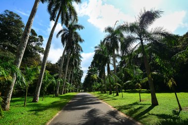 Royal Botanical Garden Peradeniya, Sri Lanka