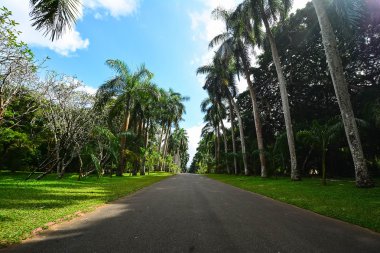 Royal Botanical Garden Peradeniya, Sri Lanka