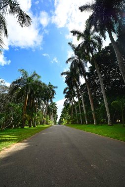 Royal Botanical Garden Peradeniya, Sri Lanka