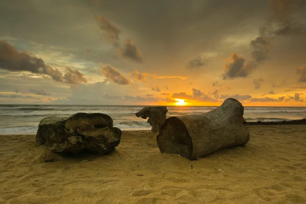Beautiful Tropical Beach In Sri Lanka Royalty Free Stock Photos