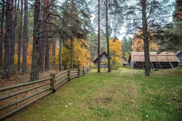 Starý Dřevěný Dům Obklopený Smíšeným Lesem Jehličnatými Opadavými Stromy Podzim — Stock fotografie