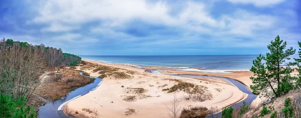 White Sand Beach Baltic Sea Surrounded Conifer Trees Forest Baltic — Stock Photo, Image