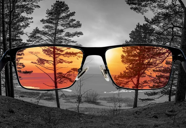Different Perception World Colorful View Sunset Sea Coniferous Forest Glasses — Stock Photo, Image