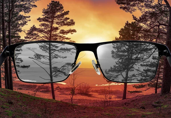 Olhando Através Óculos Para Branquear Paisagem Pôr Sol Cegueira Cor — Fotografia de Stock