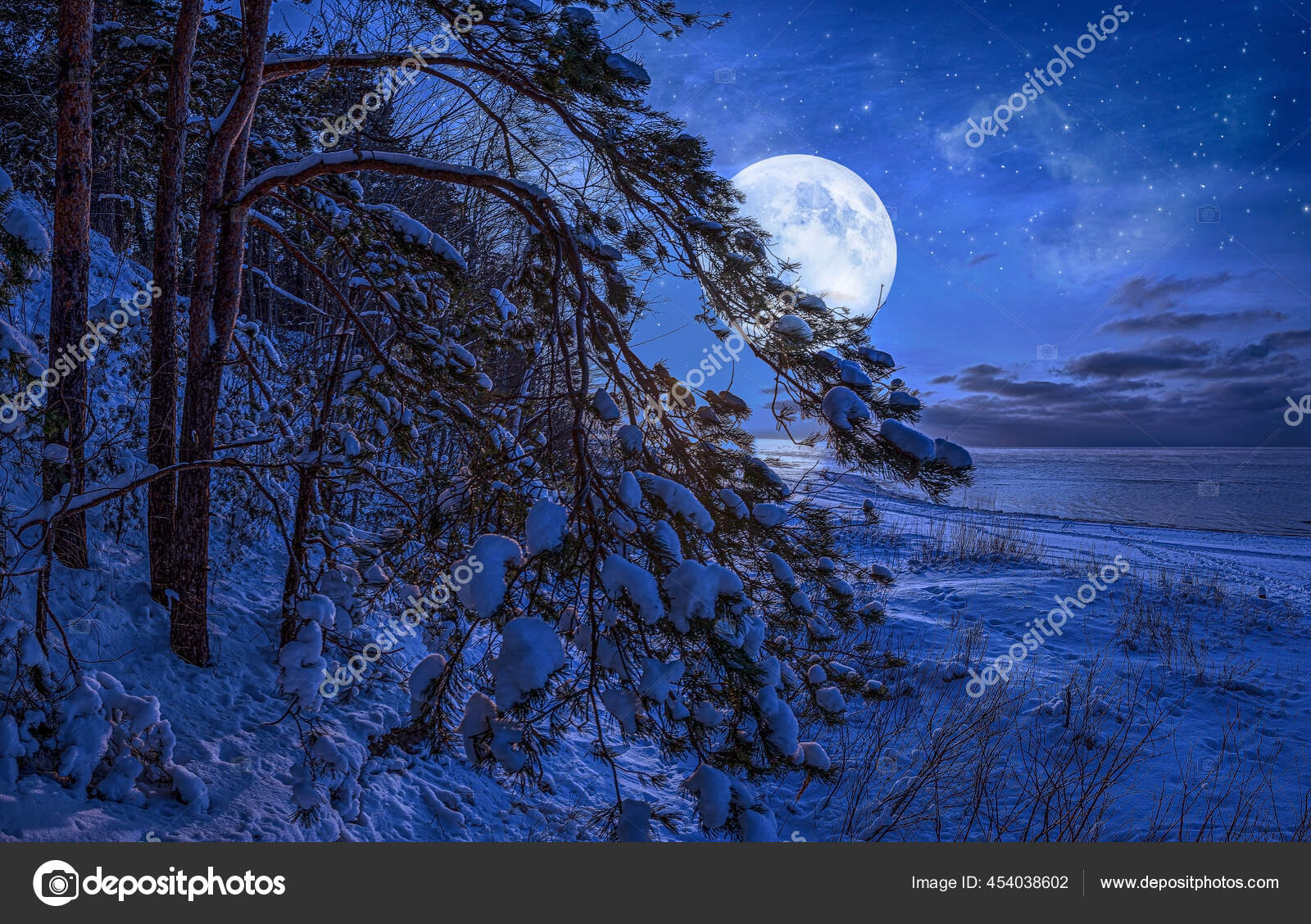 冬季的风景与大海覆盖着雪松树月光映衬着星空和满月多雪的海岸 图库照片 C Asdlkjfgh Gmail Com 冬季的风景与大海覆盖着雪松树月光映衬着星空和满月多雪的海岸 图库照片 C Asdlkjfgh Gmail Com