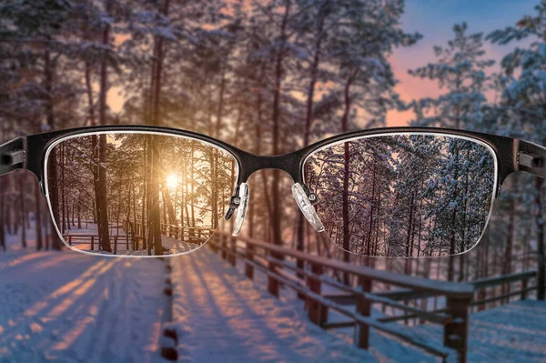 Sunset in forest landscape focused in women\'s glasses frame. View through eyeglasses. Better vision concept. Colorful view of sunset landscape in glasses.