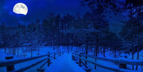Magic starry night with full moon in winter forest. Wooden pathway covered in snow in pine forest. Coniferous forest with footpath in moonlight during snowy winter night.