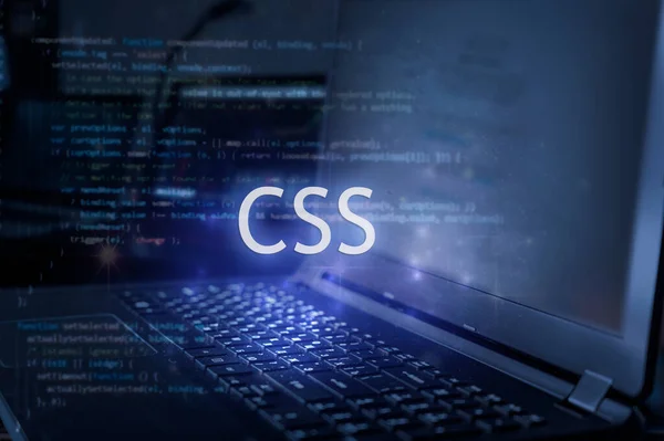 Css Inscription Laptop Code Background Technology Concept Learn Programming Language — Stock Photo, Image