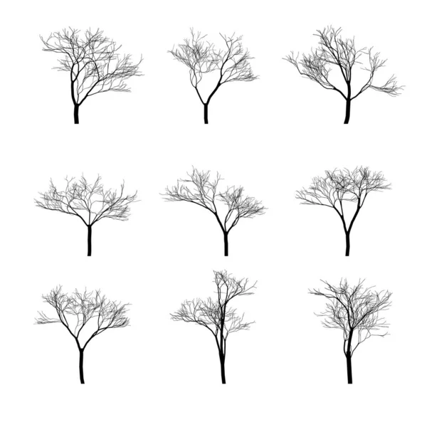 Силуэт Сухих Голых Деревьев — стоковый вектор