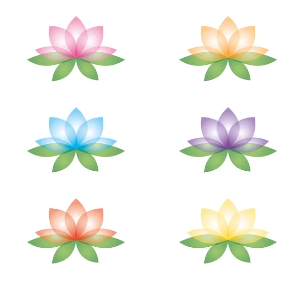 Set van lotusbloemen op een witte achtergrond — Stockvector