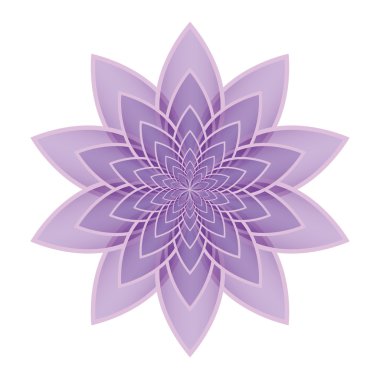 Lotus çiçek leylak