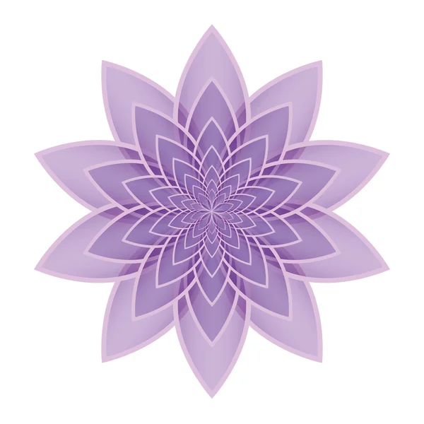 Lotus blomma lila — Stock vektor