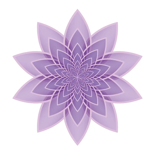 Lotus çiçek leylak