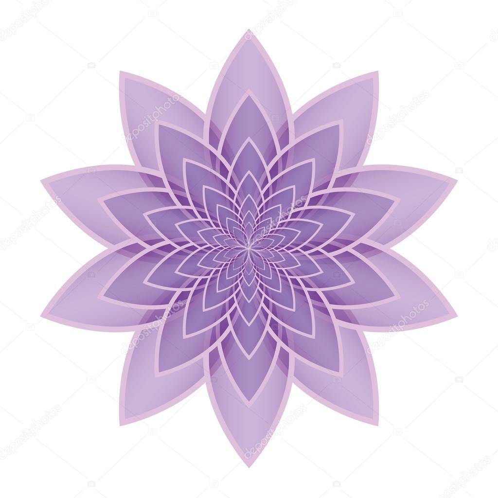 Lotus flower lilac