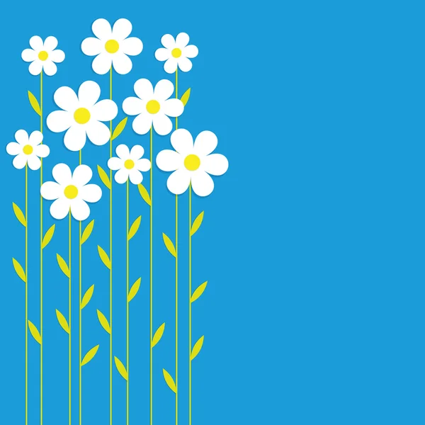 Background chamomile — Stock Vector