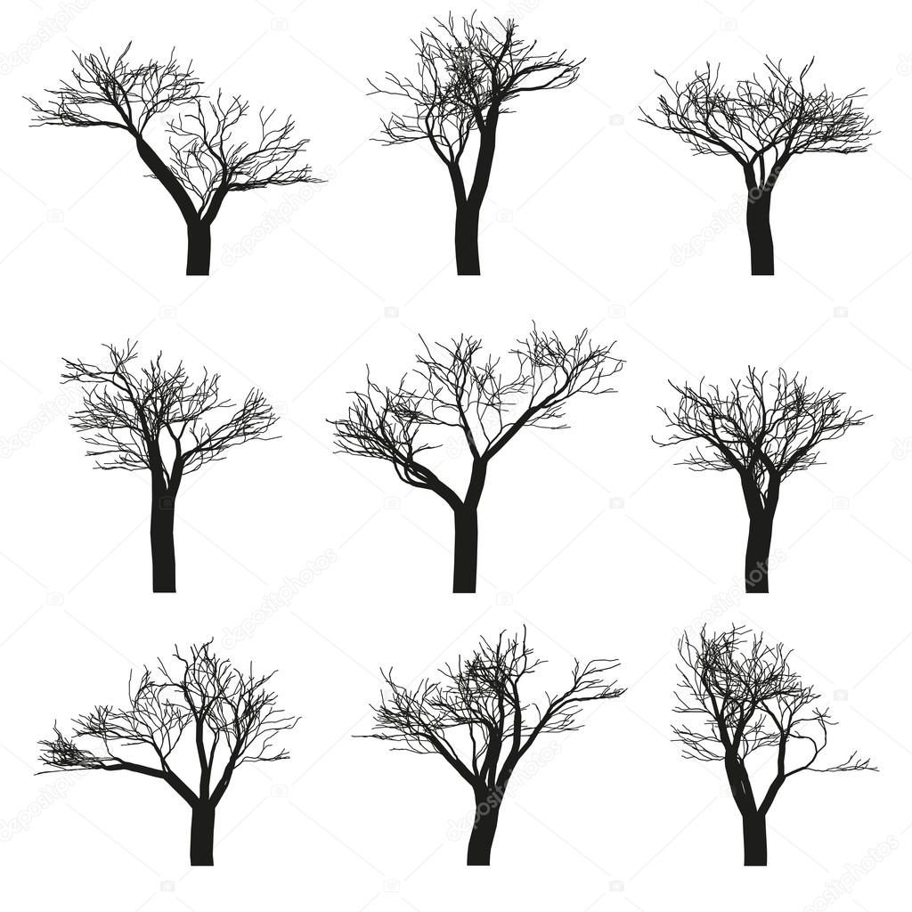 Trees set vector isolated objects