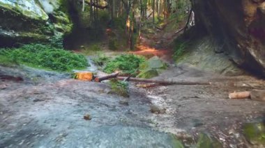 Ormandaki kayalık dağ yolunda uçarken.