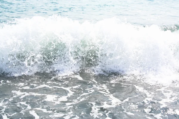 Pasifik Okyanusu'nın dalga