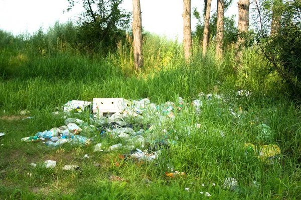 草中的垃圾 — 图库照片