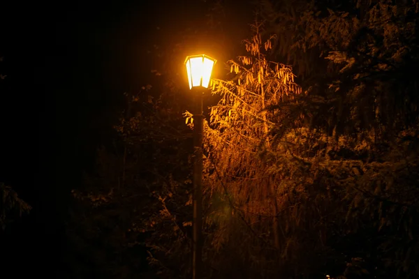 Lantern in the night — Stock Photo, Image