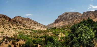 Öğlen meşe ağaçlı Rocky Dağları, Long Peak, Rocky Mountain marvdasht, Shiraz, İran önderliğindeki dağların panoramik manzarası.