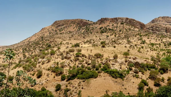 Montagnes Rocheuses Avec Chênes Midi Une Vue Panoramique Sur Les — Photo