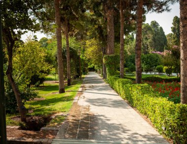 Eski şehir Şiraz, İran 'da taşlarla döşenmiş ve çam ağaçlarıyla süslenmiş eram bahçesinde yürüyüş yolu..