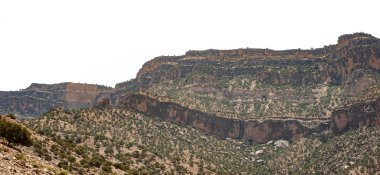 Beyaz zemin üzerinde meşe ağaçları olan Rocky Dağları, İran 'ın Rocky Dağı Khuzestan bölgesi,
