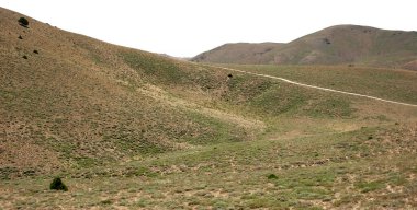 Beyaz arka planda yalıtılmış yapraklı dağlar veya bitkiler, İran 'ın mazandaran bölgesi dağları,