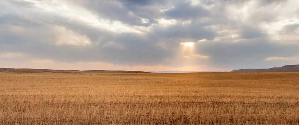 Panorama Pohled Sklizeného Pšeničného Pole Částečně Zataženou Oblohou Slunečním Světlem — Stock fotografie