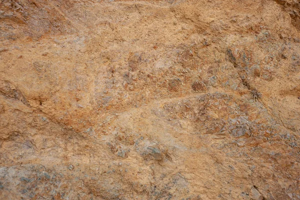 Πέτρα Χώμα Χωρίς Ραφή Υφή — Φωτογραφία Αρχείου