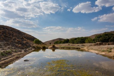 Çölde yeşil algler, inşaat konsepti, eski yüzme havuzunda kirli su ya da İran 'da balık havuzu dolu terk edilmiş bir balık havuzu.