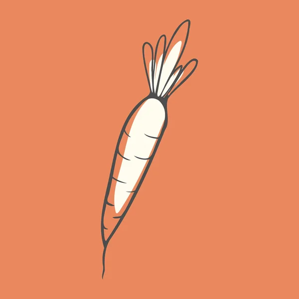 Морковь Оранжевом Фоне Печати Ткани Бумаге Одежде Нижнем Белье — стоковый вектор