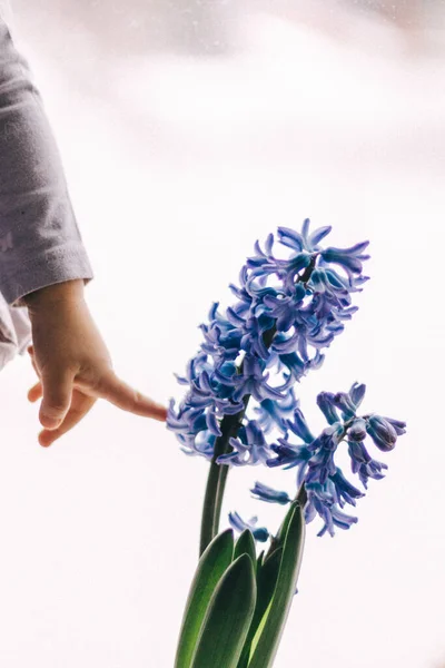 Mavi çiçeğin yanında baharın gelişini bekleyen küçük bir kız..