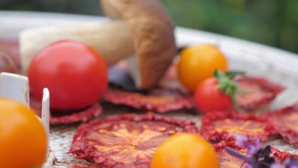 Tomates secos al sol de un deshidratador. Composición con setas y albahaca. — Vídeos de Stock