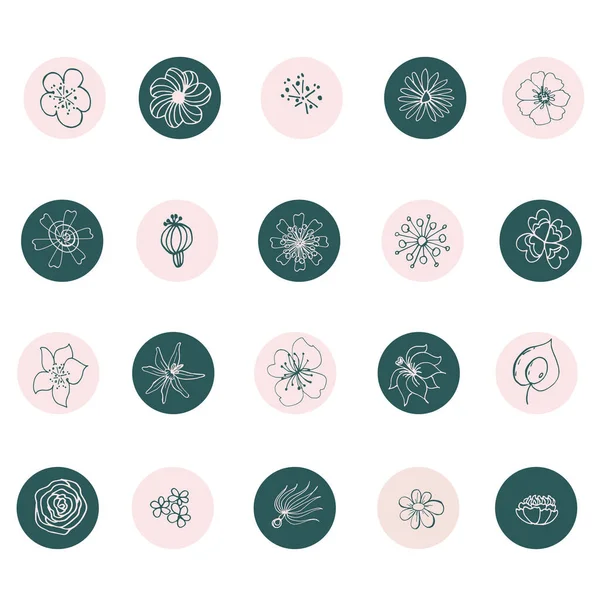 Çiçekler düz çizgi simgeleri. Çiçekçi dükkanı için zarif tabelalar. Hikayeler, kapaklar. Simgeler