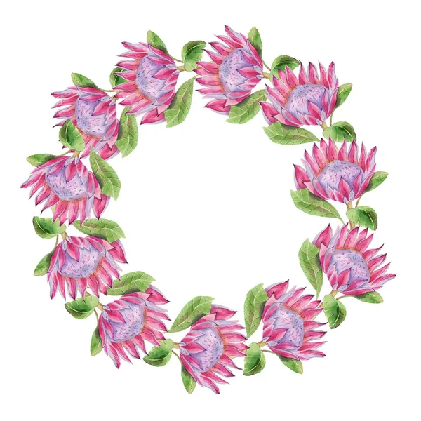 Aquarell Tropischer Protea Kranz Hochzeitseinladung Mit Blättern Protea Blüten Saftigen — Stockfoto
