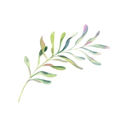 Ökseotunun altında buluşalım. Yapraklı böğürtlen. Doğa ve botanik, kutlama teması. Giysi, tekstil, kart, çıkartma, çıkartma tasarımı için. Tatil günü. el çizimi tasarım.