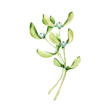 Ökseotunun altında buluşalım. Yapraklı böğürtlen. Doğa ve botanik, kutlama teması. Giysi, tekstil, kart, çıkartma, çıkartma tasarımı için. Tatil günü. el çizimi tasarım.