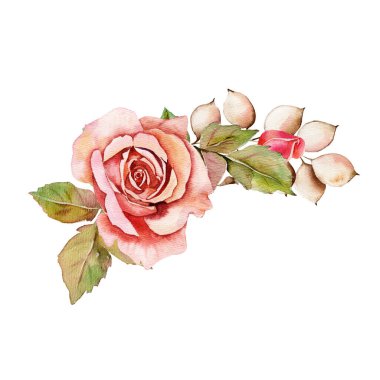 Çiçek buketi demeti, boho tasarım objesi, element. Şeftali, kaymak gibi soluk pembe gül çiçekleri, okaliptüs çiçeği karışımı kırsal, zarif düğün kartı..