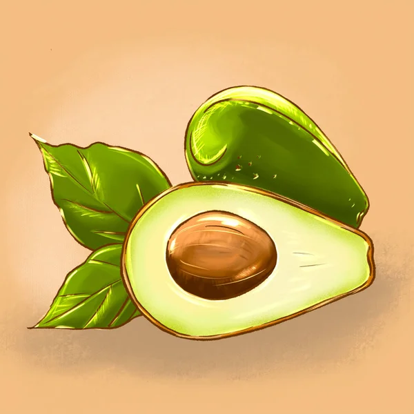 Avocadozeichnen. Ganze Avocado mit Blatt und die Hälfte mit Samen isoliert auf weißem Hintergrund. — Stockfoto
