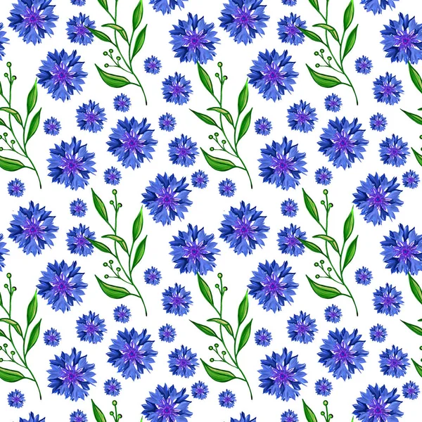 Padrão Sem Costura Floral Com Flores Campo Azul Papel Parede — Fotografia de Stock