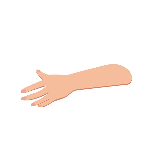 Female hands gesture hand sign vector illustration of a hand in an open gesture — Stock Vector