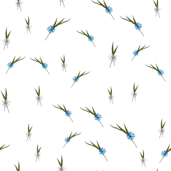 Blommig Sömlös Mönster Med Blå Fält Blommor Botanisk Tapet Blommig — Stockfoto
