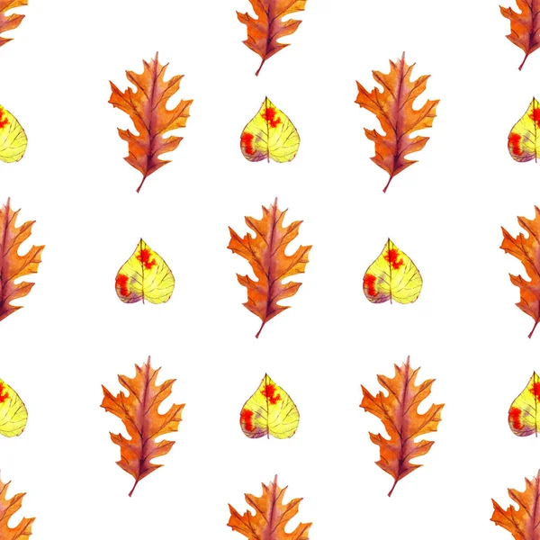 Schöne Skizzenkollektion Mit Herbst Für Tapetendesign Illustration Der Botanik Eiche — Stockfoto