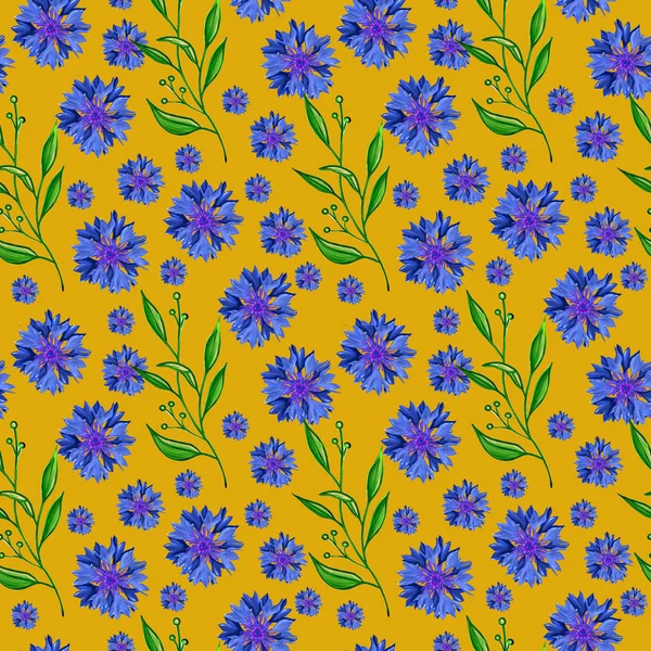 Virágos Zökkenőmentes Minta Kék Mezei Virágokkal Botanikus Tapéta Virágos Búzavirág — Stock Fotó