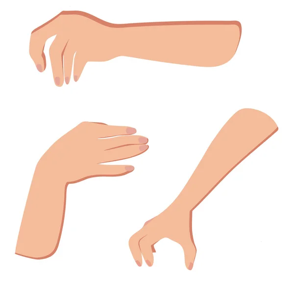 Les Mains Féminines Geste Signe Main Illustration Vectorielle Des Mains — Image vectorielle