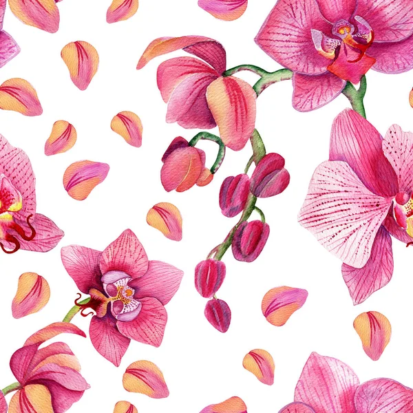 Orchideje Jsou Bezproblémové Krásné Bezešvé Květinové Letní Vzor Pozadí Tropickými — Stock fotografie