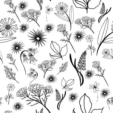 Siyah beyaz çiçekli pürüzsüz desen. Papatyalar, güller, çiçek ve diğer kır çiçekleri. Duvar kağıdı, ambalaj kağıdı, tekstil, kumaş, hatıra defteri.