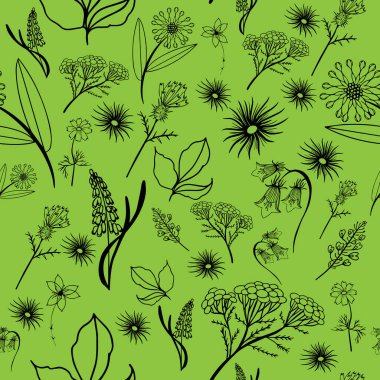 Siyah beyaz çiçekli pürüzsüz desen. Papatyalar, güller, çiçek ve diğer kır çiçekleri. Duvar kağıdı, ambalaj kağıdı, tekstil, kumaş, hatıra defteri.